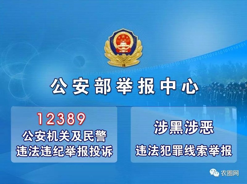 构建和谐在线环境——如何有效使用监督举报平台