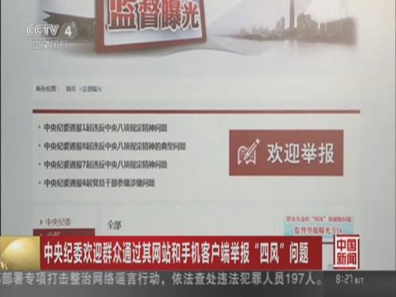 党员干部举报：构建清廉高效的政务环境