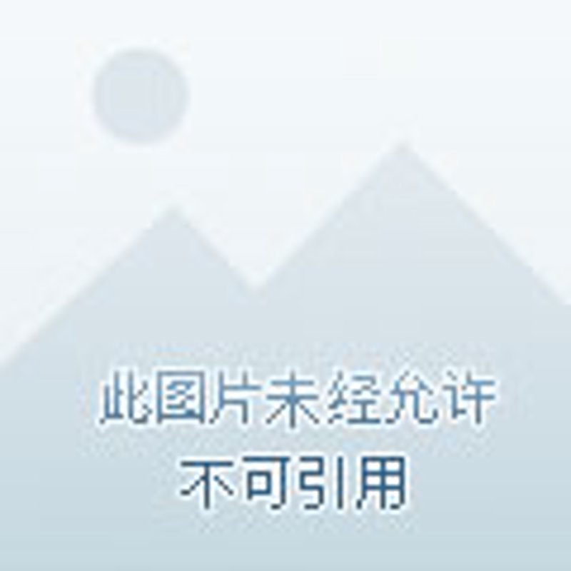 党员干部举报：构建清廉高效的政务环境